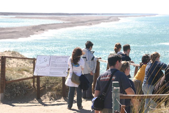 Cruise Shore Excursion Peninsula Valdes - Pto Madryn - Patagonia - Argentina - Penguins, sea lions, and seasonal expectations