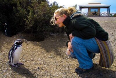 Cruise Shore Excursion Punta Tombo with Boxlunch from Pto Madryn
