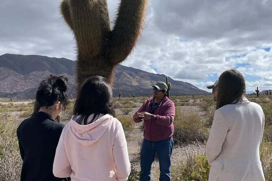 Day Trip to Cachi from Salta - From Chicoana into the Quebrada de Escoipe