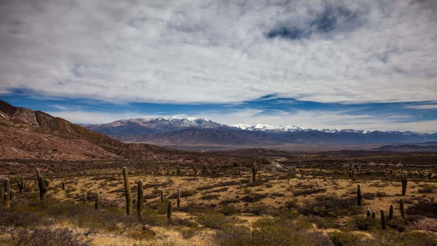 Day Trip to Cachi from Salta - Who will enjoy this Cachi day trip most