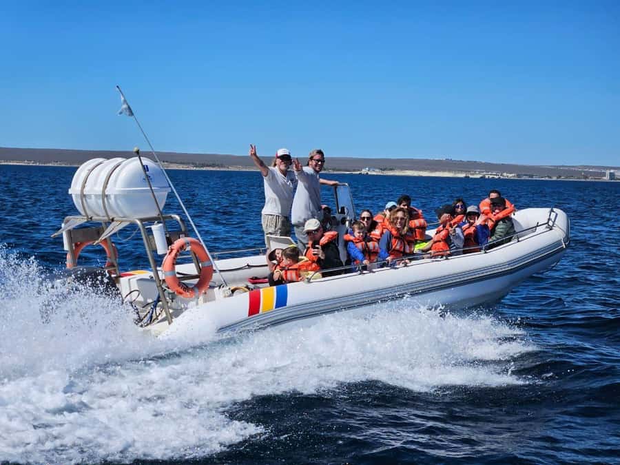 Dolphin Watching Adventure - Punta Loma and the sea lion colony