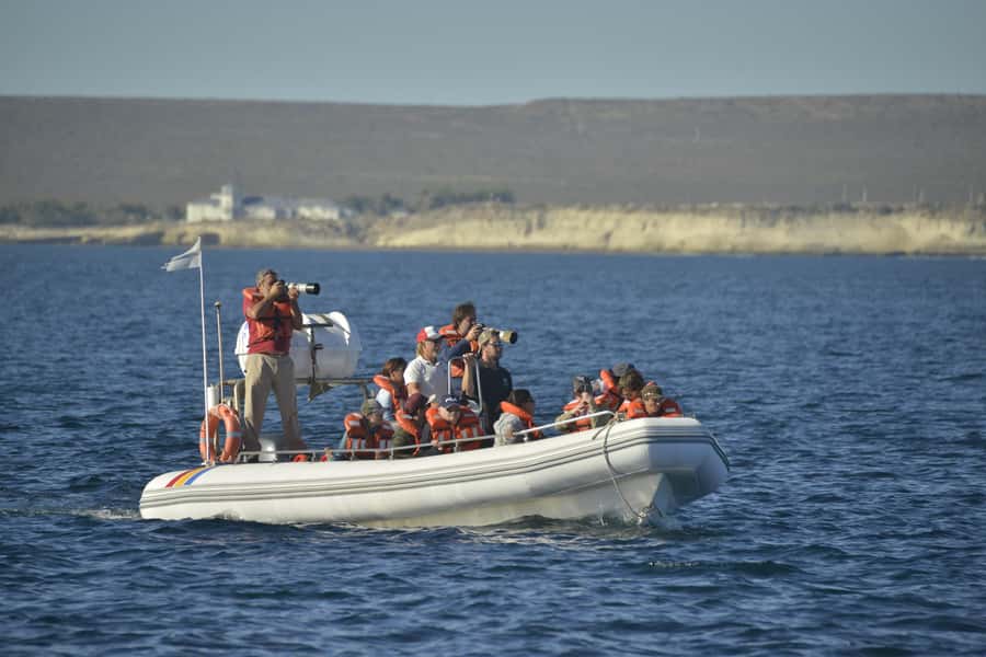 Dolphin Watching Adventure - Is $105 a fair price?