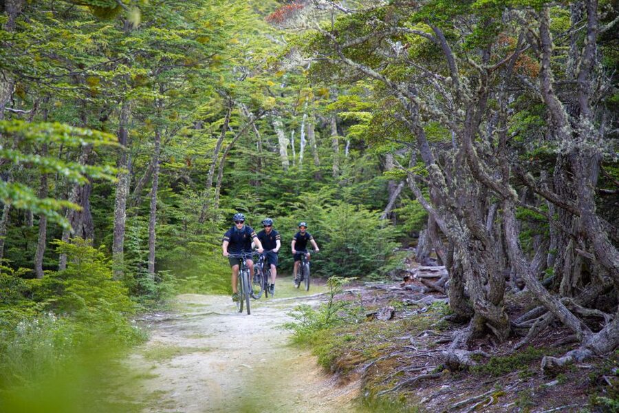 E-BIKE Beagle Viewpoint - What $135 buys you