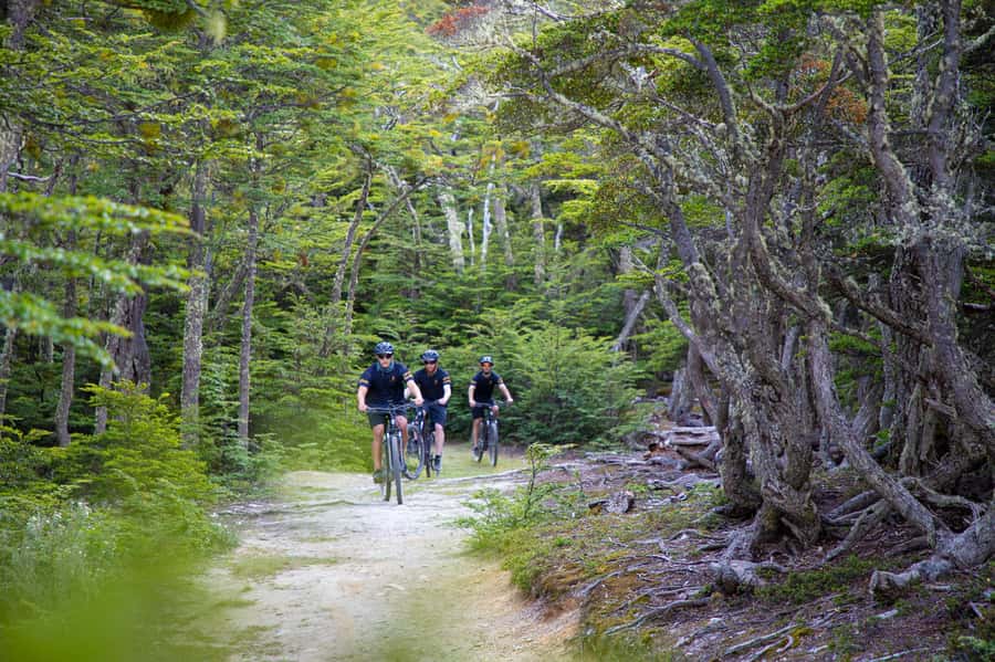E-BIKE Beagle Viewpoint - Guide style and group atmosphere