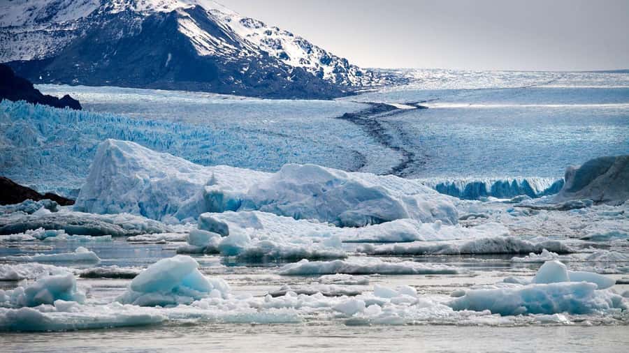 El Calafate: Glacier Cruise & Trekking at Estancia Cristina - Who will enjoy this day most?
