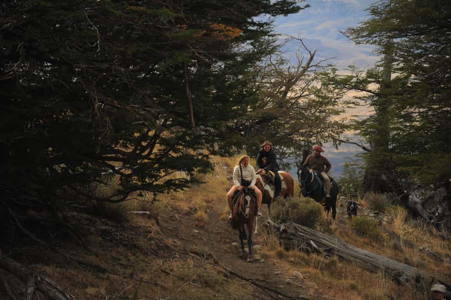 El Calafate: Horseback riding in Cerro Frias - Is the $151 Price Fair?