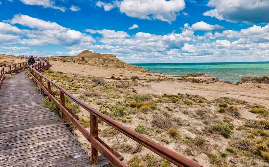 El Calafate: Monte León 4x4 Wolves and Penguins Excursion - Food, Drinks, and the Practical Comforts