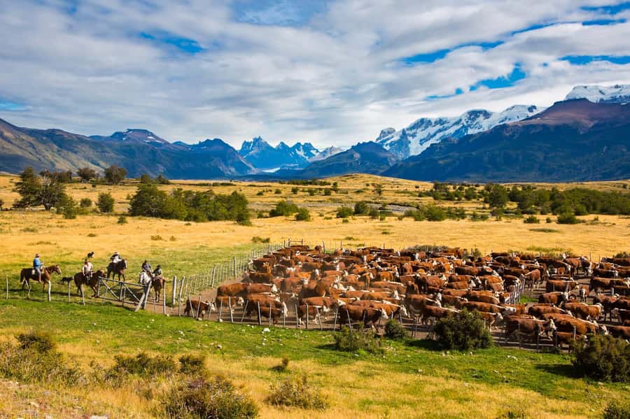 El Calafate: Nibepo Aike Ranch with Horseback Riding - Why Nibepo Aike is different from a standard ranch visit