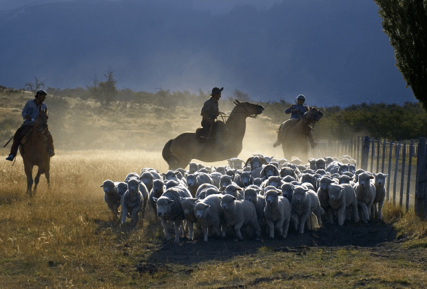 El Calafate: Nibepo Aike Ranch with Horseback Riding - Gaucho culture without a costume-show focus