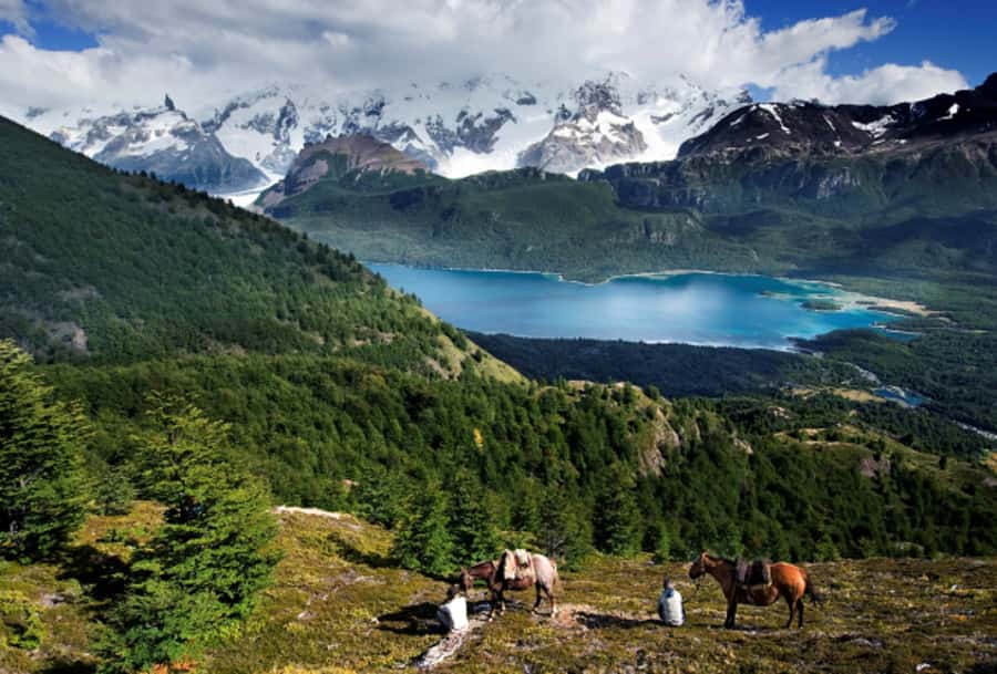 El Calafate: Nibepo Aike Ranch with Horseback Riding - A Patagonian lamb asado in the quincho