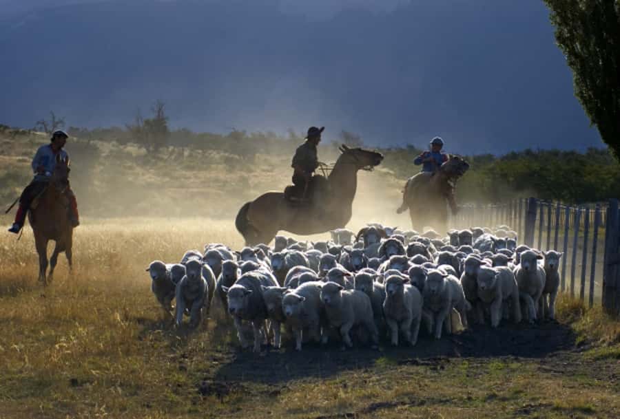 El Calafate: Nibepo Aike Ranch with Horseback Riding - Is $175 a fair price?