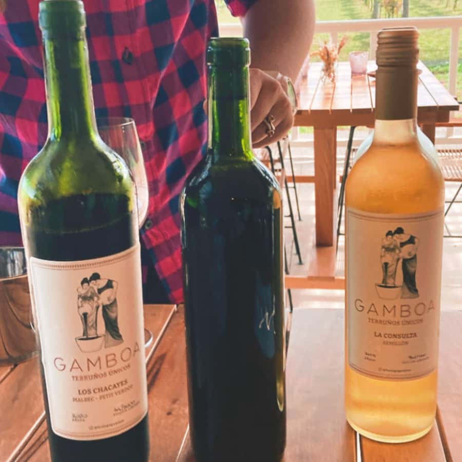 Enjoy a Rural Experience in a Vineyard near Buenos Aires - A rural break only 65 kilometers from Buenos Aires