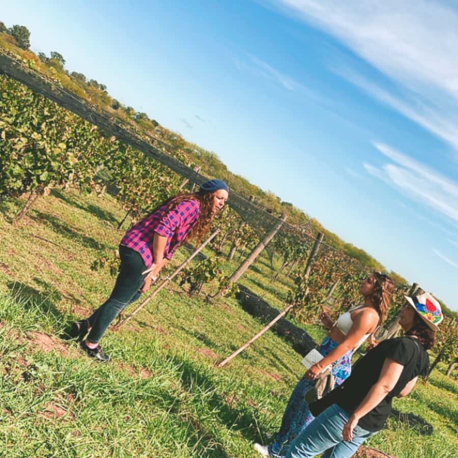 Enjoy a Rural Experience in a Vineyard near Buenos Aires - Walking through Casa Gamboa’s five hectares