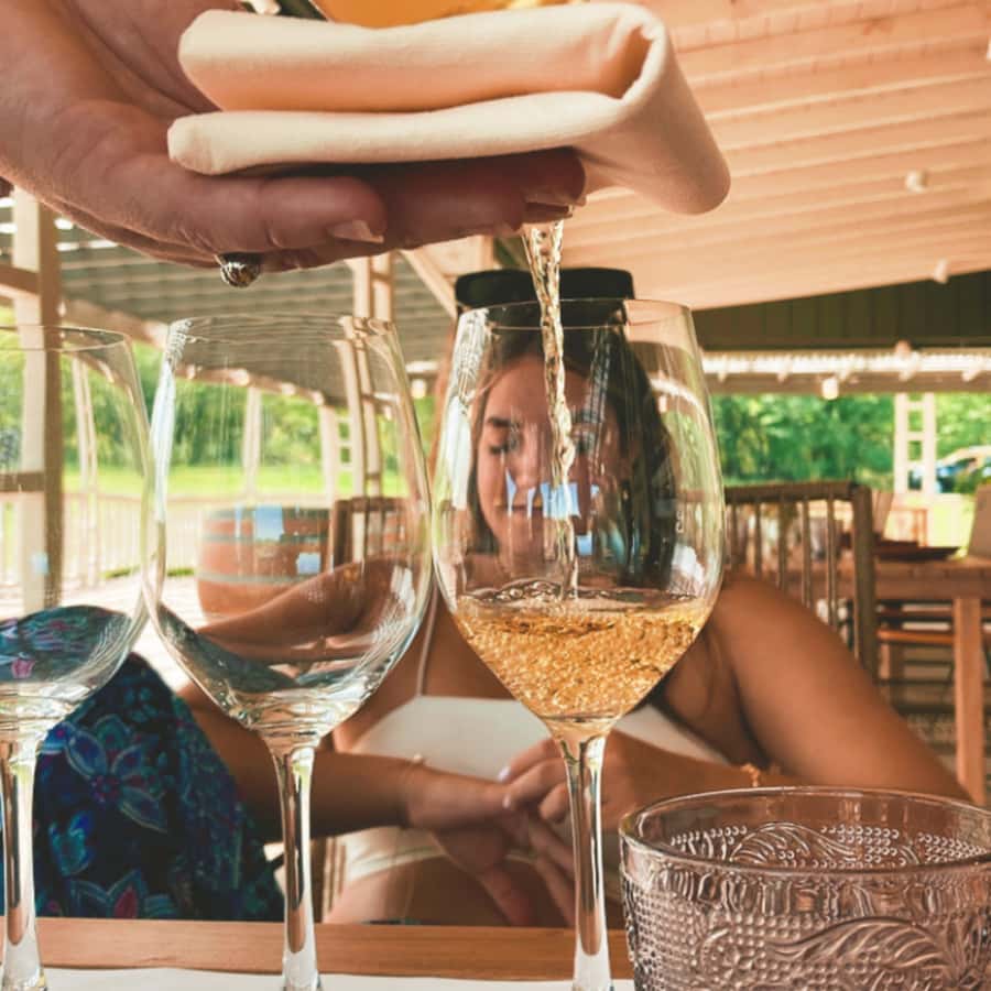 Enjoy a Rural Experience in a Vineyard near Buenos Aires - Malbec, Pinot Noir, and Cabernet Franc at the tasting