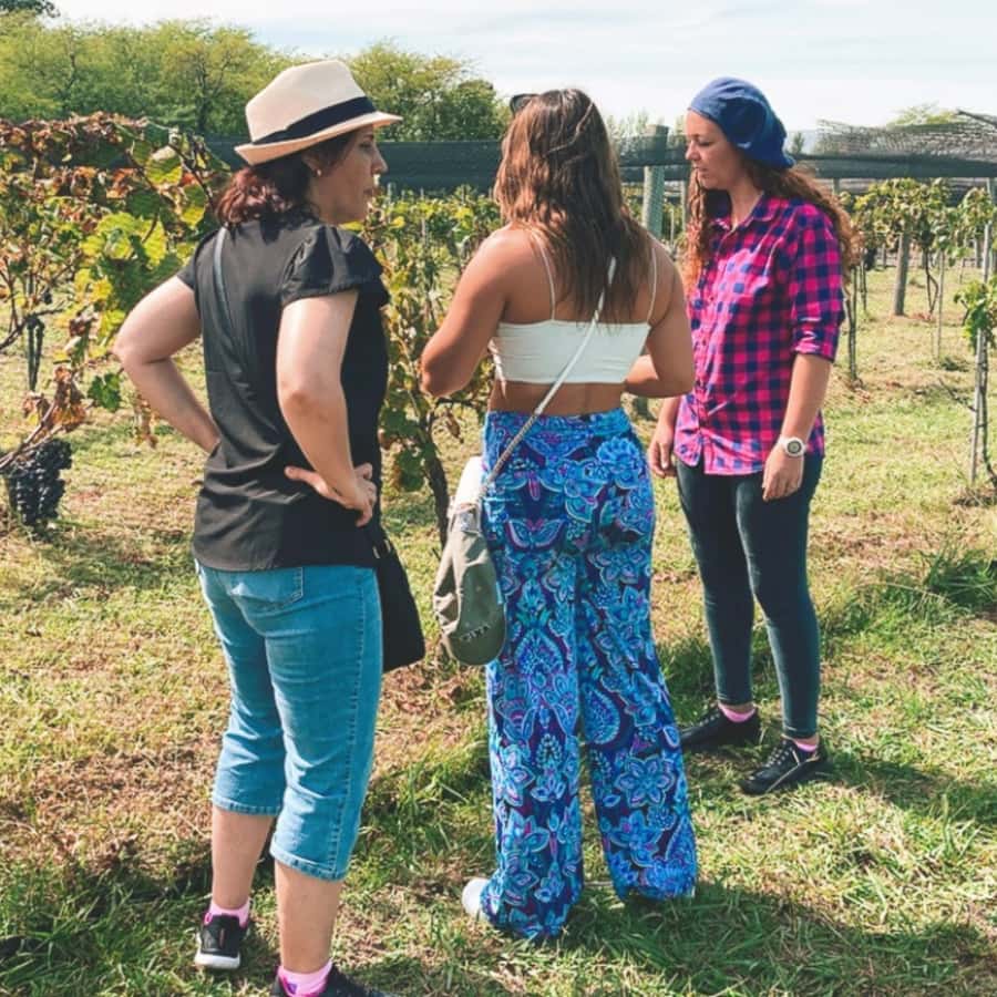 Enjoy a Rural Experience in a Vineyard near Buenos Aires - A four-course lunch in the countryside
