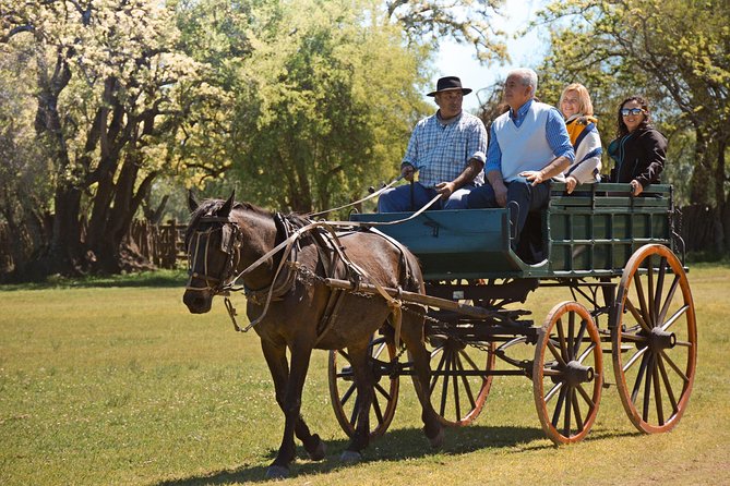 Estancia Gaucho Day at Buenos Aires - How much value do you get for $168?