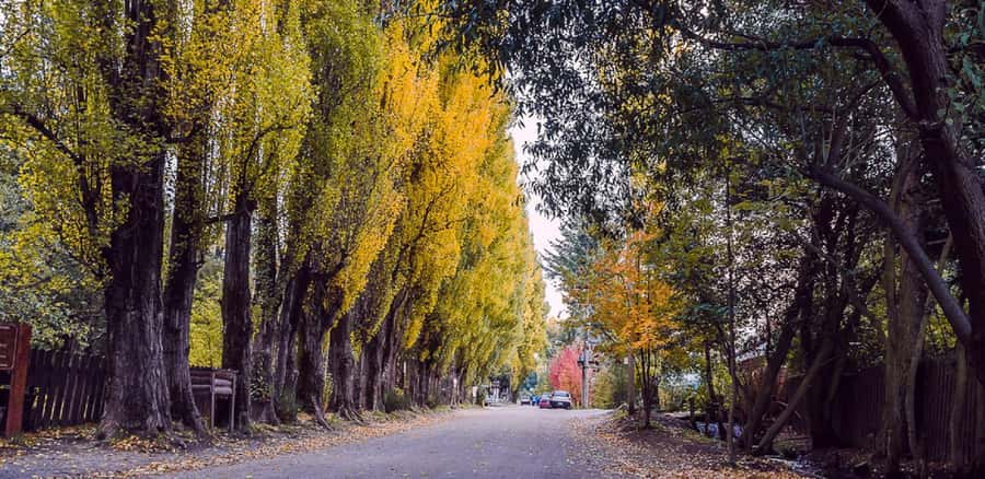 From Bariloche: Chico Circuit & Colonia Suiza Tour - Food, drinks, and the extra costs