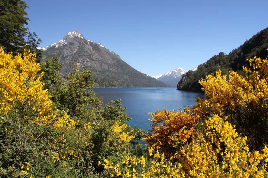From Bariloche: Half-Day Circuito Chico Sightseeing Tour - FAQ