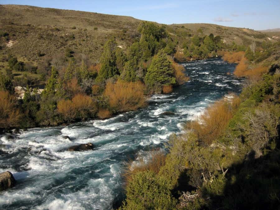 From Bariloche: San Martin de los Andes and 7 Lakes Circuit - Why this route is worth a full day