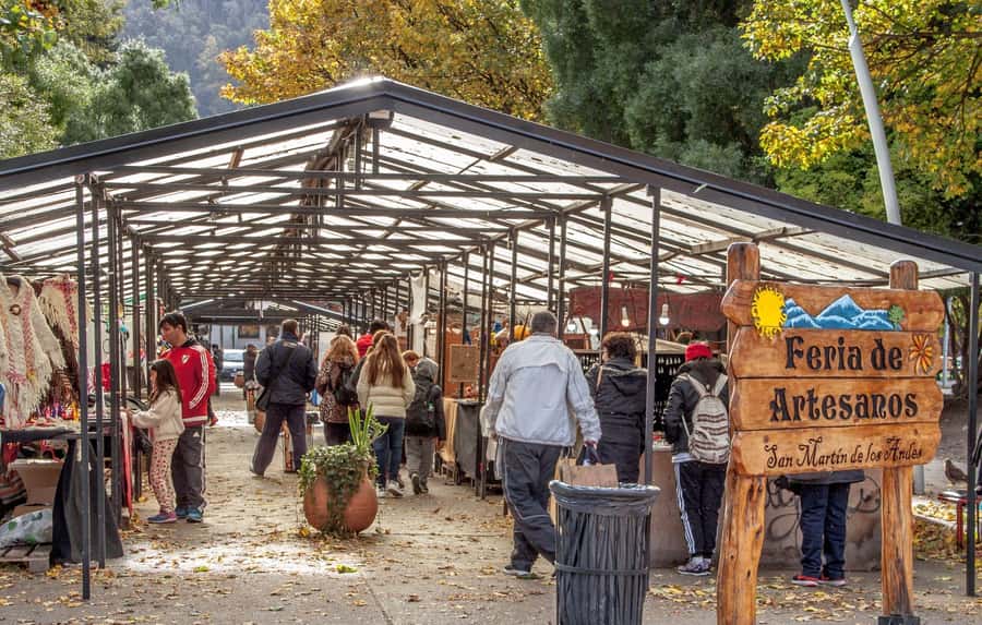 From Bariloche: San Martin de los Andes and 7 Lakes Circuit - Guide quality, language, and group size