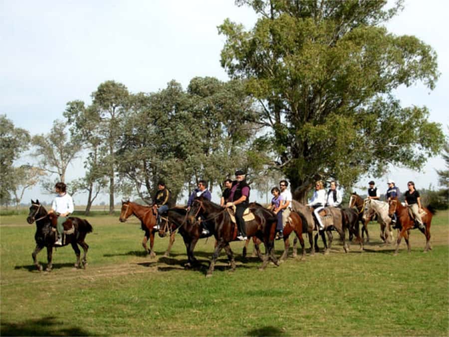From Buenos Aires: Estancia Don Silvano Tour with Lunch. - Leaving Buenos Aires for the pampas
