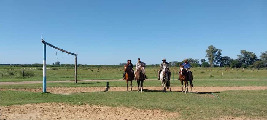 From Buenos Aires: Estancia Don Silvano Tour with Lunch. - Gaucho music, dancing, and traditional carriages