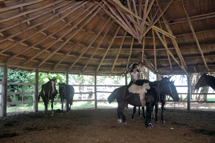 From Buenos Aires: Estancia Don Silvano Tour with Lunch. - Should you book Estancia Don Silvano?