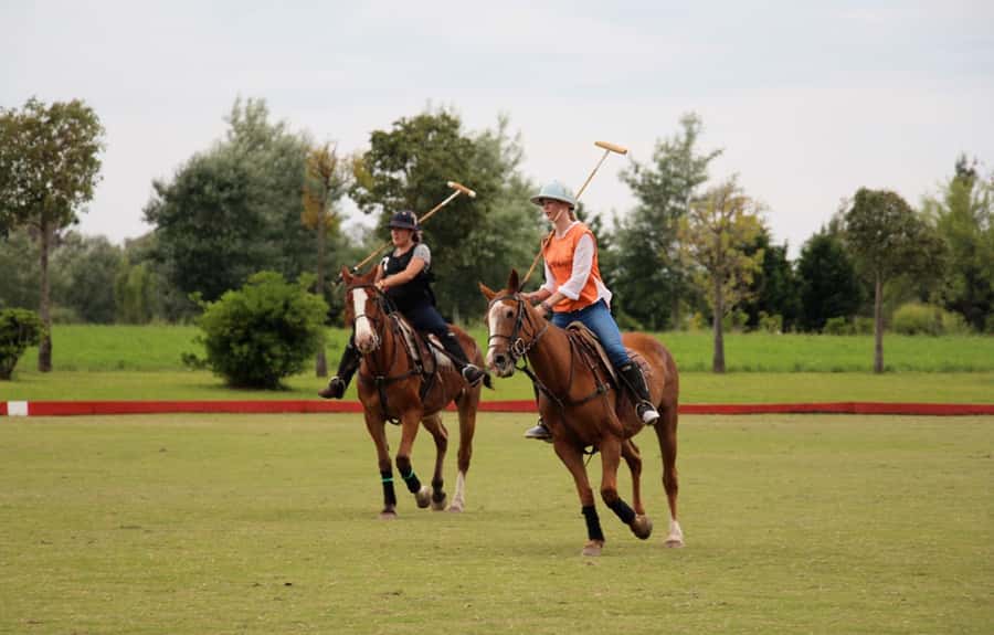 From Buenos Aires: Polo Match, Lesson, and BBQ Day-Trip - From Buenos Aires to the Polo Grounds