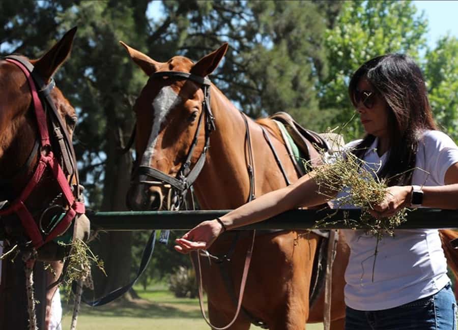 From Buenos Aires: Polo Match, Lesson, and BBQ Day-Trip - Understanding Polo Before the Chukkers Finish