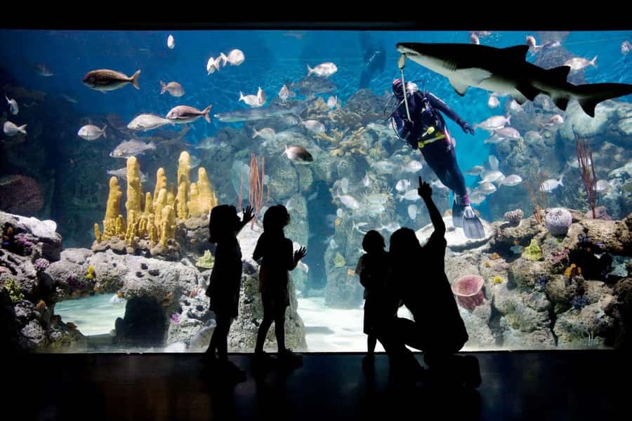 From Buenos Aires: Temaiken Zoo Tour with Ticket Included - Who will enjoy this outing most
