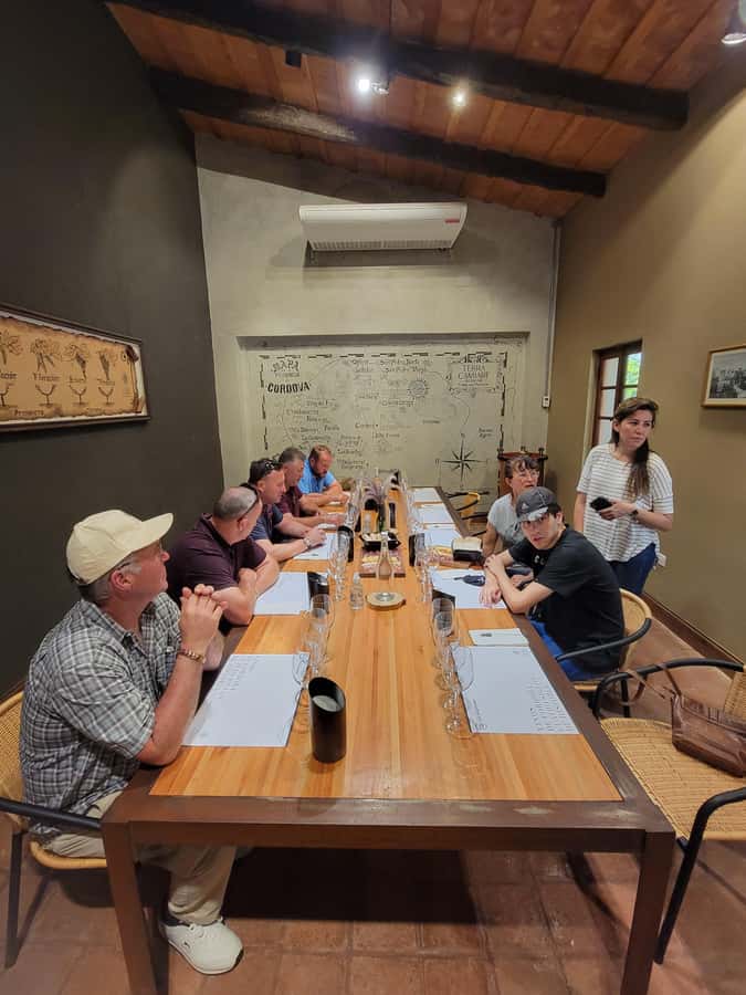 From Cordoba: Private Wine tour & History - Private transport and group size