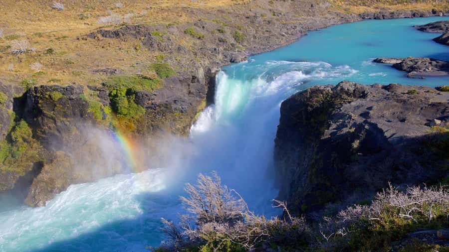 From El Calafate: Torres del Paine Full Day Tour - Cuernos del Paine and Laguna Amarga
