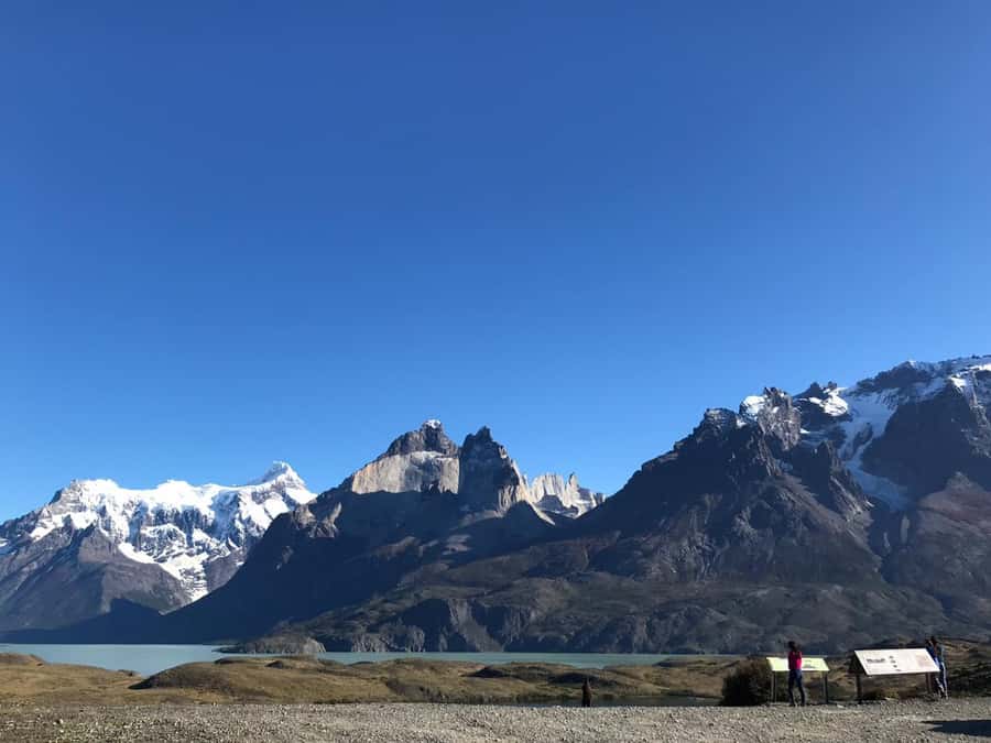 From El Calafate: Torres del Paine Full Day Tour - Is $229 a fair price?