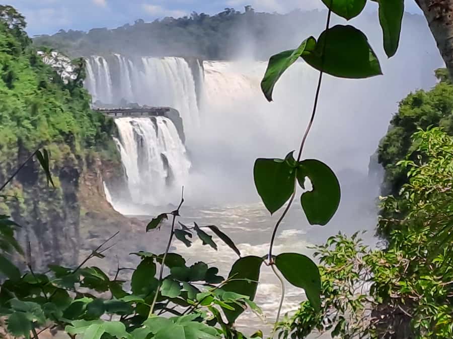From Foz do Iguaçu: Tour to Argentinian Falls - A guide-led day with real local context