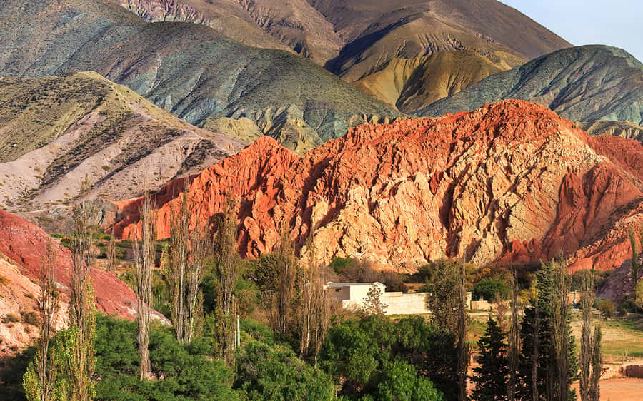 From Jujuy: Salinas Grandes with Purmamarca - Why this route is more than a salt-flat photo stop