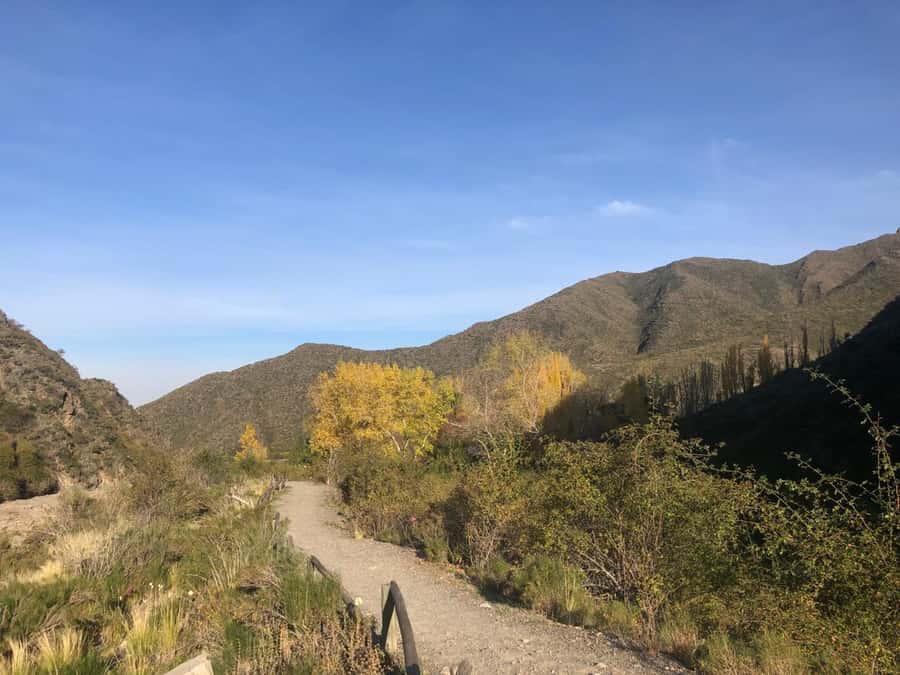 From Mendoza: Andes High Mountain Full-Day Tour - Uspallata brings a useful pause