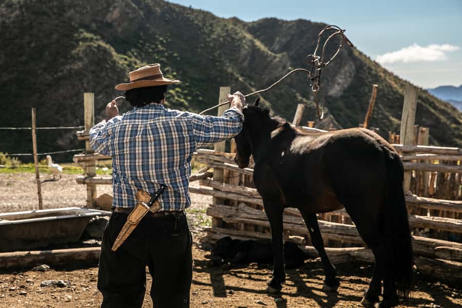From Mendoza: Full Day Gaucho Experience - Who will enjoy this most