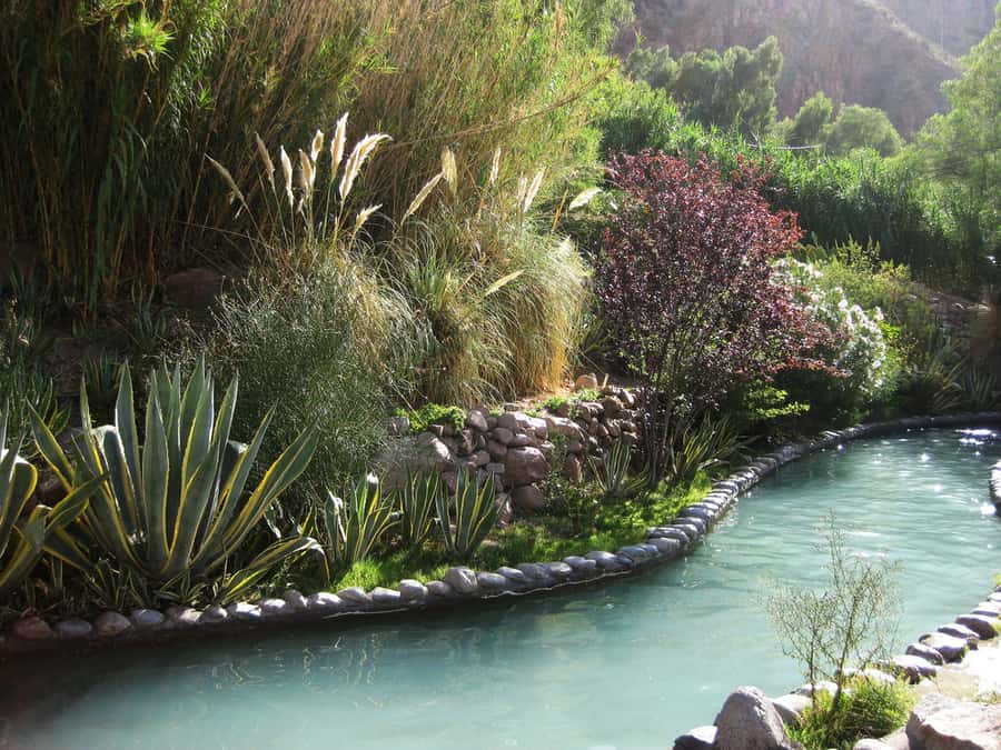 From Mendoza: Premium Spa Day at the Cacheuta Hot Springs - Making sense of the eight-hour stay