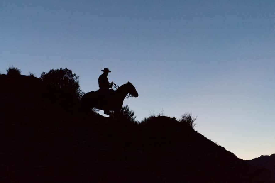 From Mendoza: Sunset Horseback Ride and Asado in the Andes - Sitting down to an Argentine asado