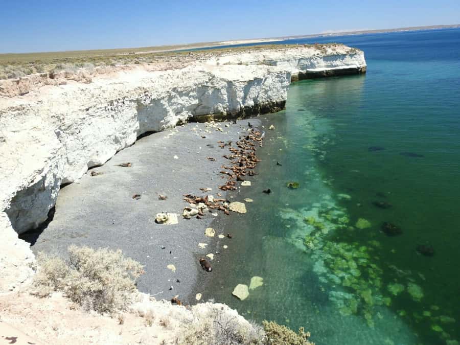 From Puerto Madryn: City and Punta Loma Tour - Practical details that affect your day