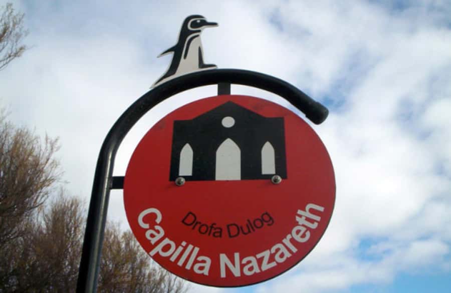 From Puerto Madryn: City and Punta Loma Tour - The drive toward Paraná beach