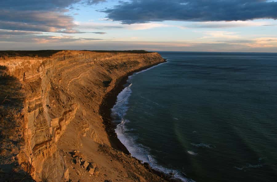 From Puerto Madryn: Valdes Peninsula Full-Day Tour - Why Valdes Peninsula is worth a full day