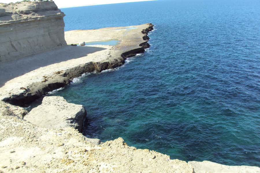 From Puerto Madryn: Valdes Peninsula Full-Day Tour - Puerto Piramides and the whale-watching choice