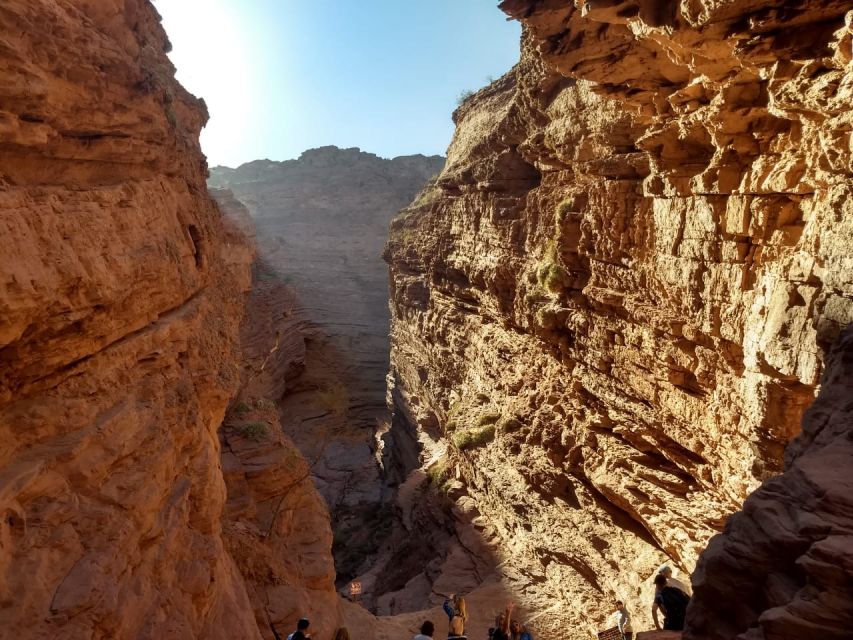 From Salta: 2 Day Guided Trip to Cafayate & Salinas Grandes - Guides, language, and transport