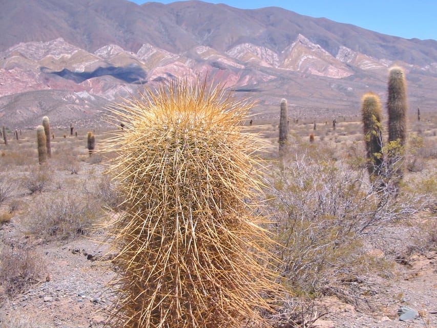 From Salta: 3-Day Cafayate, Cachi, and Humahuaca Guided Trip - Day 1: Red rock and wine on the road to Cafayate