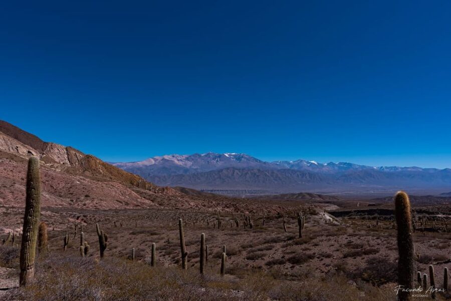 From Salta: 4-Day Trip in Salta Province & Salinas Grandes - Guides, language, and the style of the tour