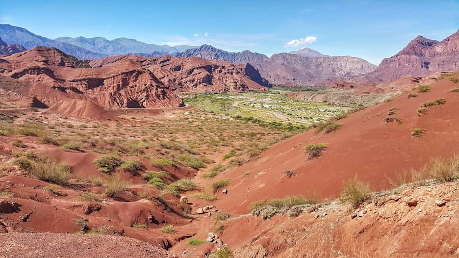 From Salta: Cafayate Day Trip with Wine Tasting - Who will enjoy this Salta day trip