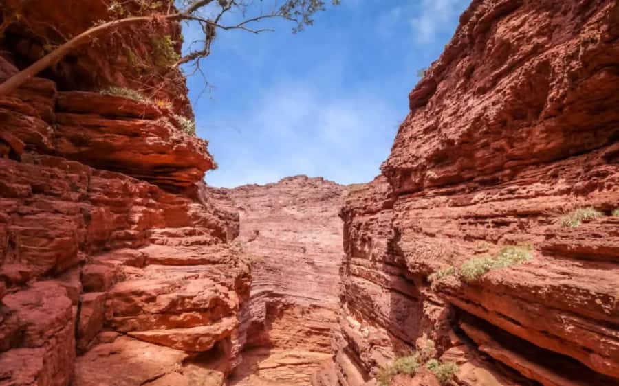 From Salta: Cafayate, Humahuaca, Cachi, & Salinas Grandes - Is $134 good value?