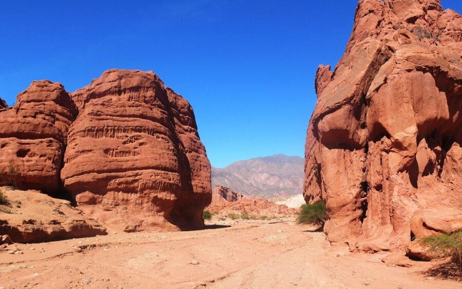 From Salta: Cafayate, land of wines and imposing ravines - Transport, timing, and comfort