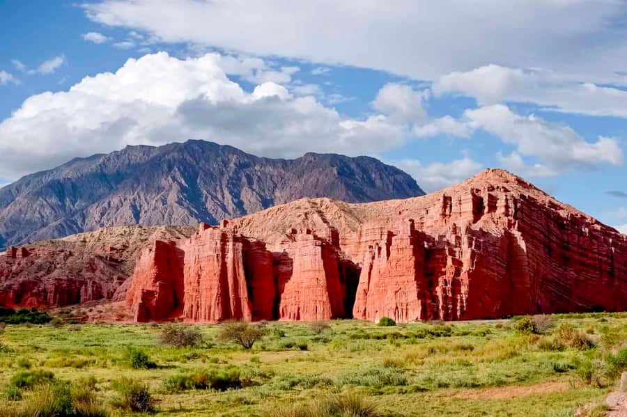 From Salta: Day Trip to Cachi and the Calchaquí Valleys - Los Cardones National Park and the Tin-Tin straight road